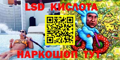 крисы Кингисепп