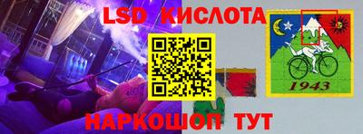 крисы Кингисепп