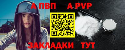 крисы Кингисепп