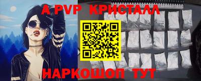 крисы Кингисепп