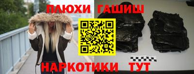крисы Кингисепп