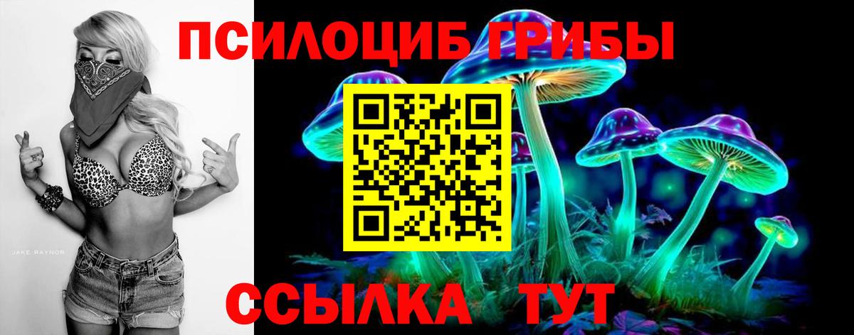 Феодосия  Галлюциногенные грибы MAGIC MUSHROOMS  Галлюциногенные грибы Cubensis  Вход с VPN 